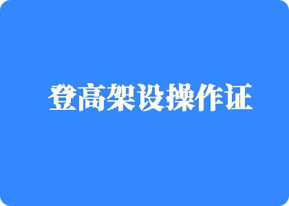 男人日女人逼逼免费看视频登高架设操作证